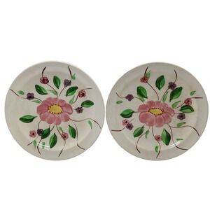 Blue Ridge‎ Southern Pottery Plates Cumberland Bread Hand Painted Set of Two SEE